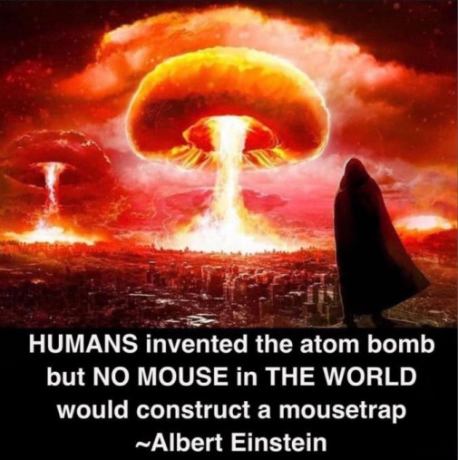 humans mouse